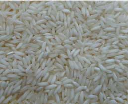 Manufacturers Exporters and Wholesale Suppliers of White Rice Nagpur Maharashtra